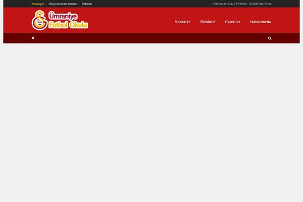 Sport theme site design template sample