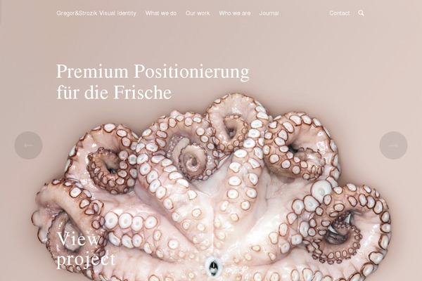 Salient theme site design template sample