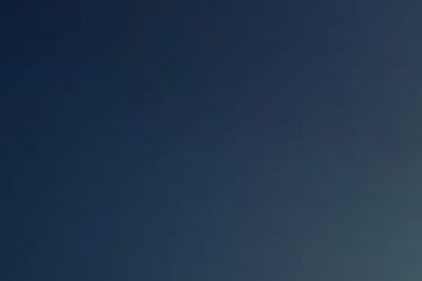 gtavisaexpert.com site used Reversal