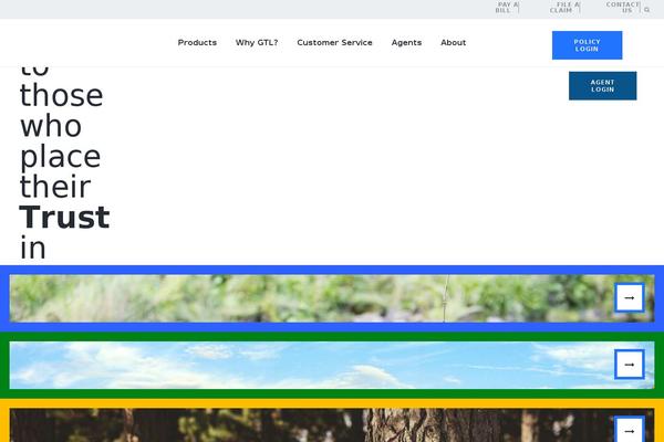 Site using Brave-popup-builder plugin
