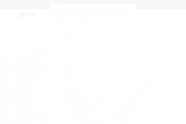 Site using Revslider-typewriter-addon plugin