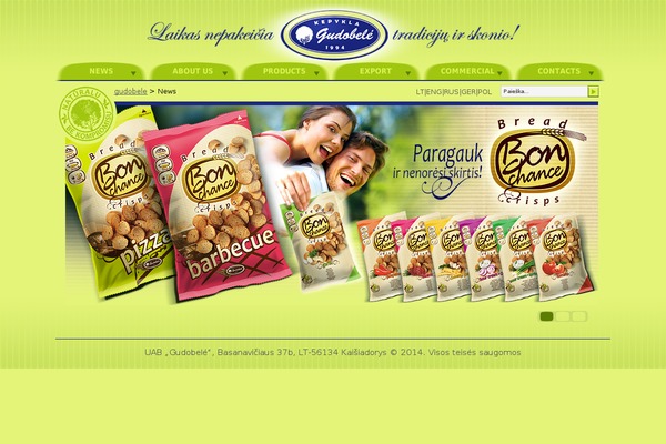 Minimize theme site design template sample