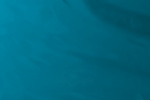 Site using Ax ScrollTo Top plugin