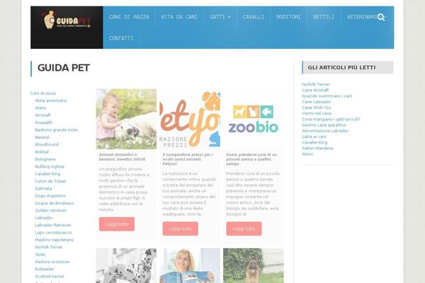 Fraction theme site design template sample