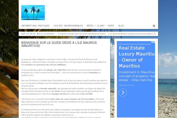 Socha theme site design template sample
