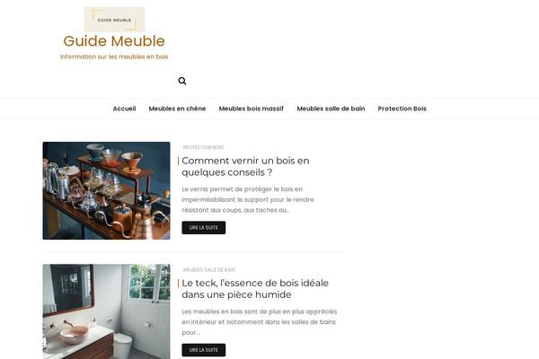 Wishful Blog theme site design template sample