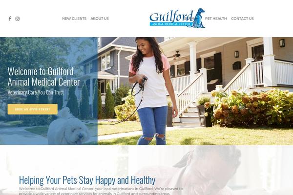 Webstersalient theme site design template sample