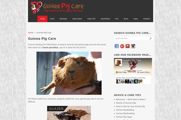 guineapigcare.com.au site used Daynight