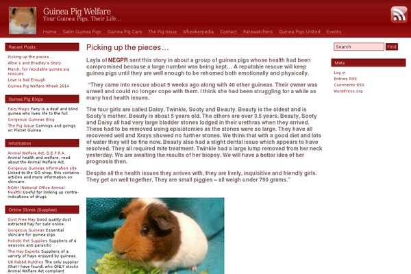 guineapigwelfare.org.uk site used Ruby_stretch_2
