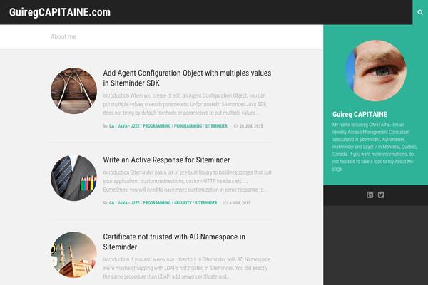 Agnar theme site design template sample