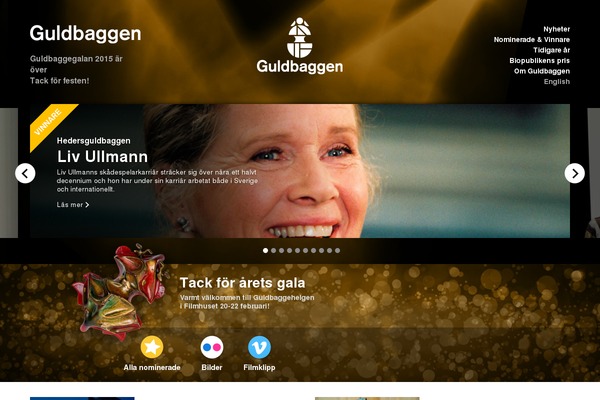 Site using Autoptimize plugin