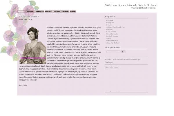 Translucent Fluidity 2 theme site design template sample