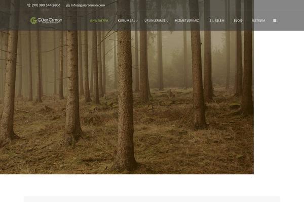 gulerorman.com site used Batiment