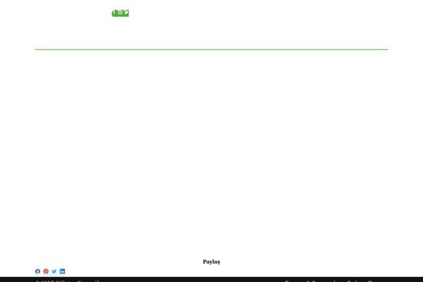 The7 theme site design template sample