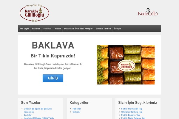 Responsive theme site design template sample
