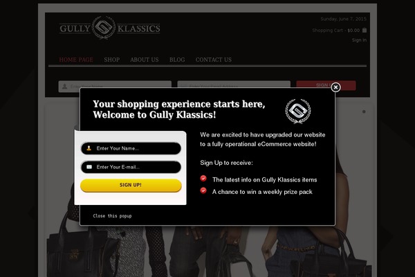 Site using Arscode-ninja-popups plugin