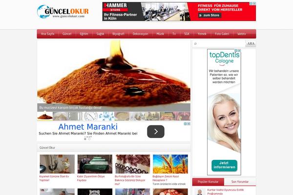 Safirtema theme site design template sample