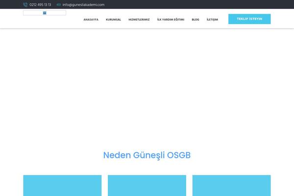 gunesliakademi.com site used Fortune