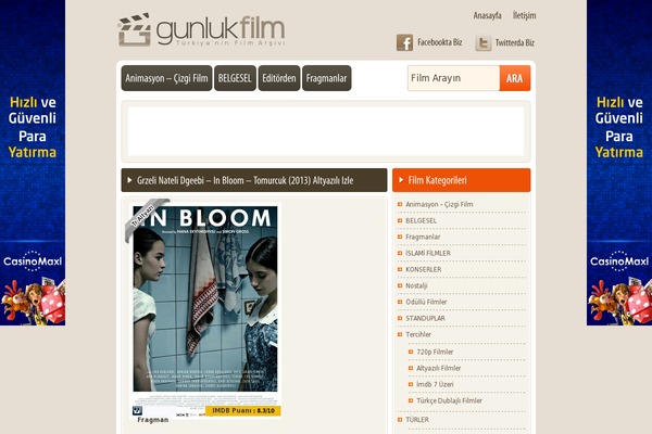gunluk theme websites examples