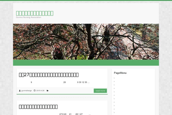 gunma-kango.jp site used Responsive_241-child