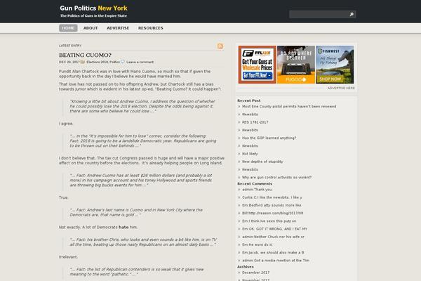 Daily Press theme site design template sample