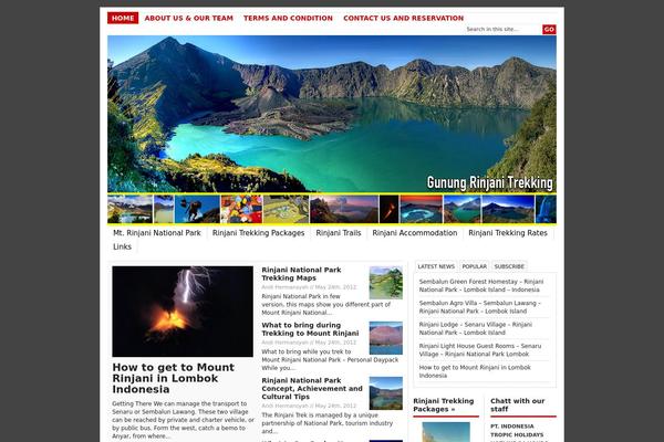 Newswire theme site design template sample