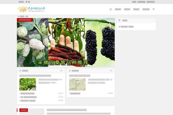 Begin theme site design template sample