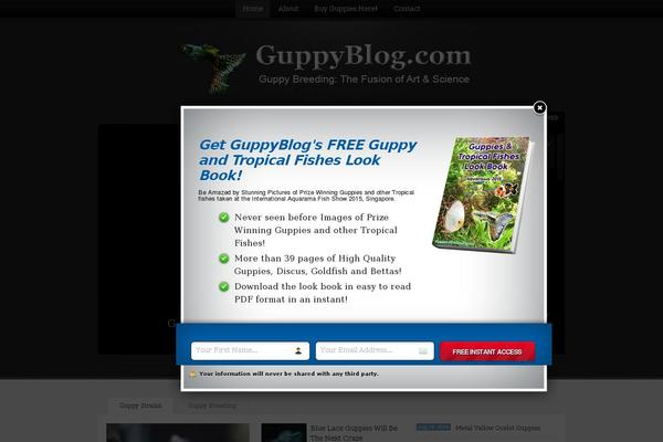 Site using Rapidology plugin