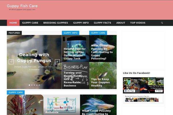 Domino theme site design template sample