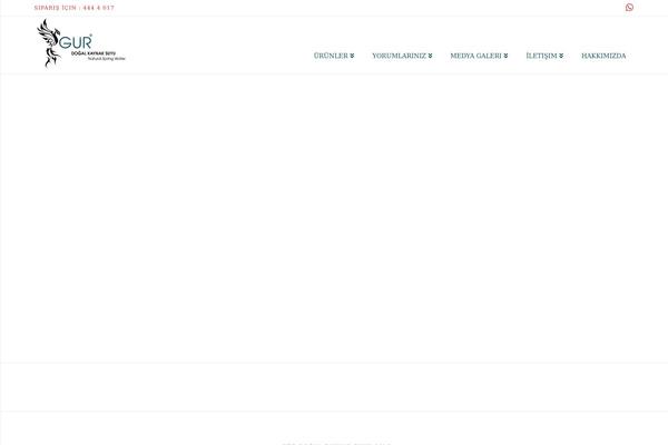 Site using Thrive-ovation plugin