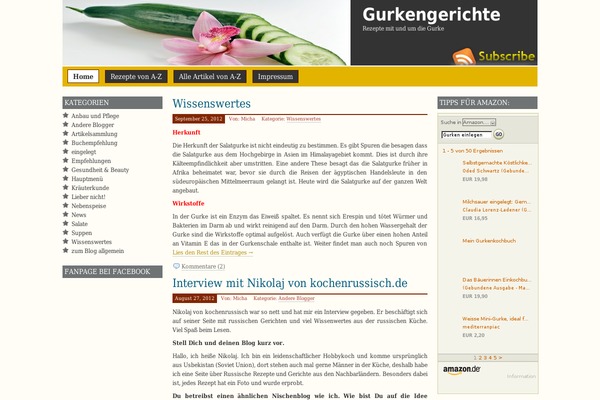 Prosumer-10-de theme site design template sample