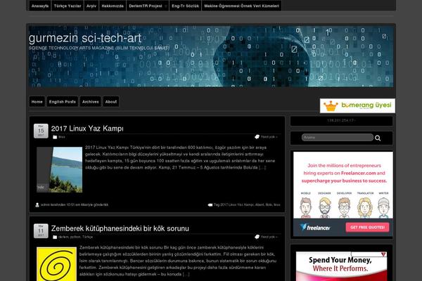 Site using Traffic Counter Widget plugin