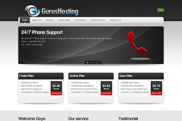 Phenomenon theme site design template sample
