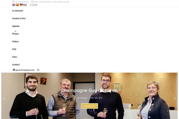 Site using Dt-the7-core plugin