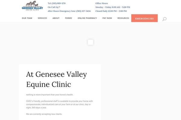 gvequine.com site used Bridge-child02