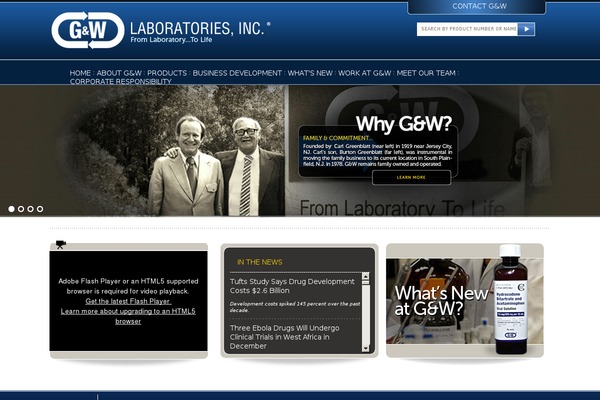Gw theme site design template sample