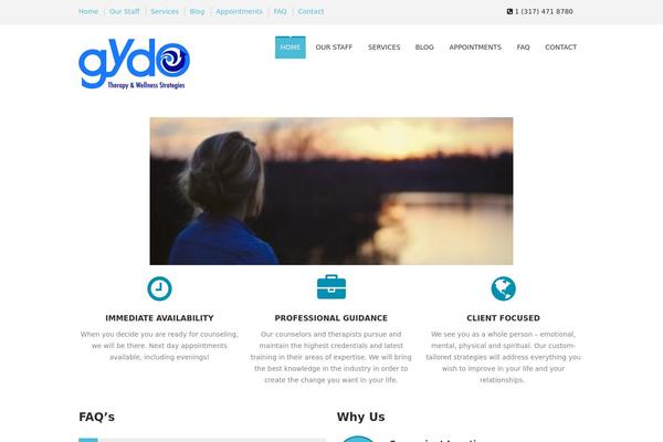 SoulMedic theme site design template sample
