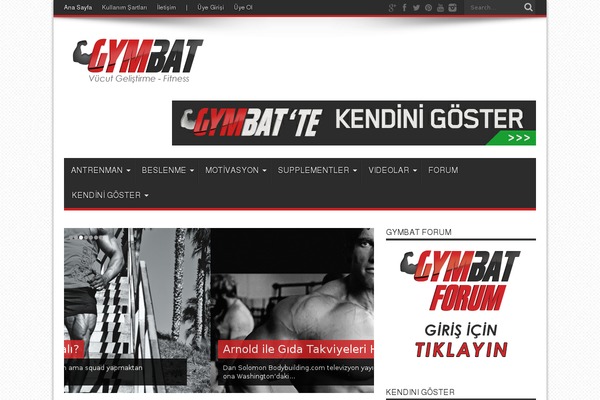 Site using Sneeit-framework plugin
