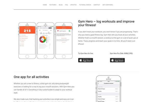 skyray theme websites examples