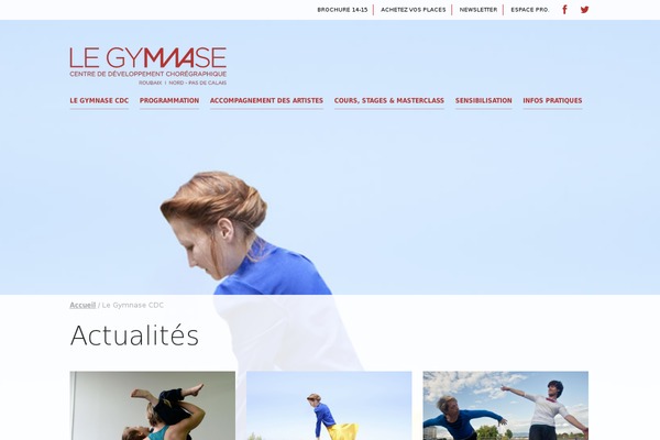 gymnase-cdc theme websites examples