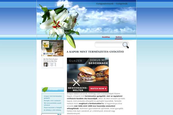 Site using Ad Injection plugin