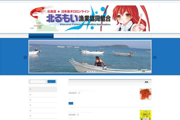 Site using Wpzoom-portfolio plugin