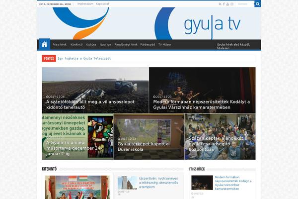 Sahifa Child theme site design template sample