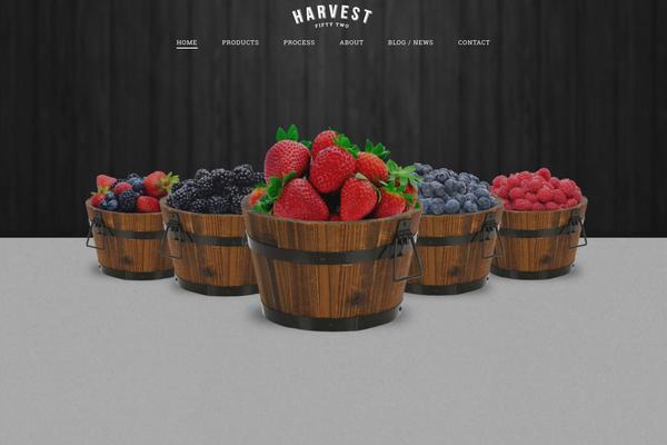 ROSA theme site design template sample