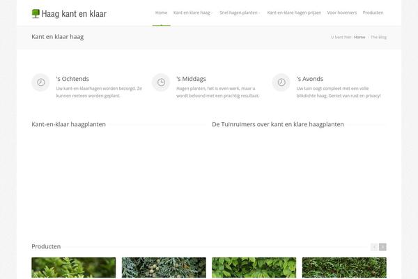 Astrum theme site design template sample