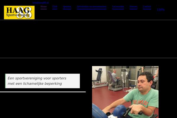 Site using Wp-widget-in-navigation plugin