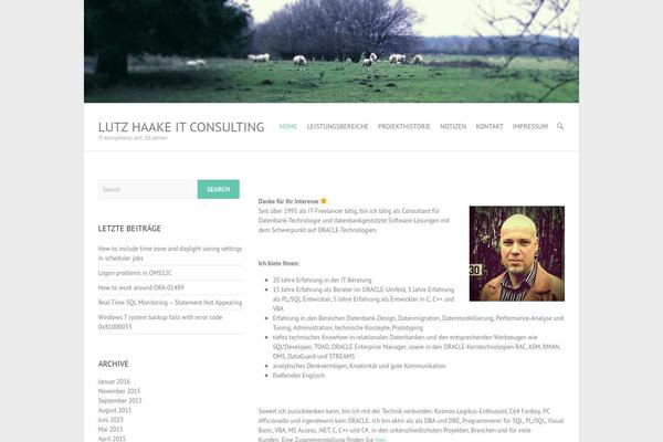 Interface theme site design template sample