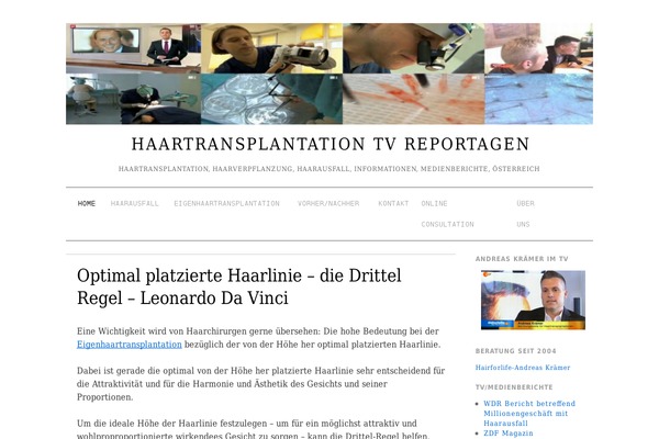 Brunelleschi theme site design template sample