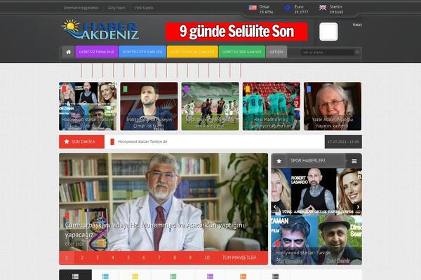 Site using RSS Reader Animated plugin