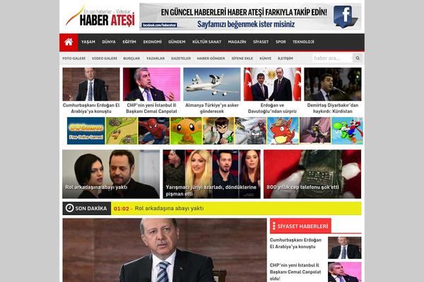 theHaberV2 theme websites examples